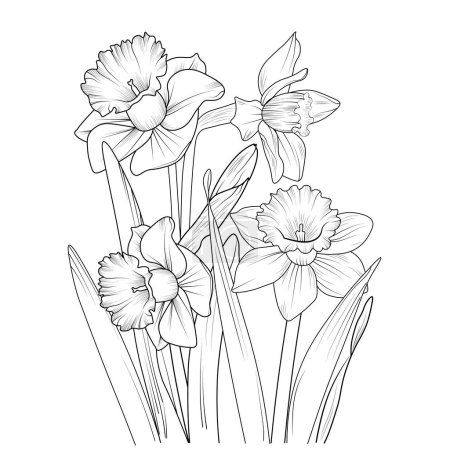 Illustration for Vector floral background with narcissus flowers, Isolated flower hand-drawn vector sketch illustration, botanic collection branch of leaf buds natural collection coloring page floral bouquets engraved ink art. daffodil flowers coloring books. - Royalty Free Image
