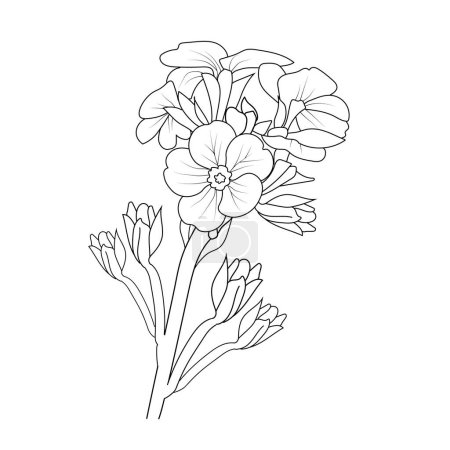 Foto de Hand-drawn primrose flower. monochrome illustration of spring flowers. black and white vector drawing. - Imagen libre de derechos