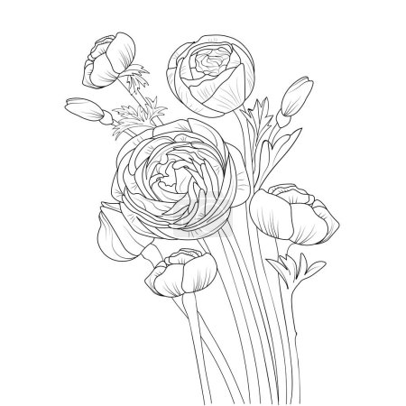 Illustration for Hand-drawn sketch of the ranunculus flowers. isolated on white background. vector illustration, vector illustration, the floral background of flowers, hand-drawn ink drawing, sketch, engraving style, monochrome, - Royalty Free Image