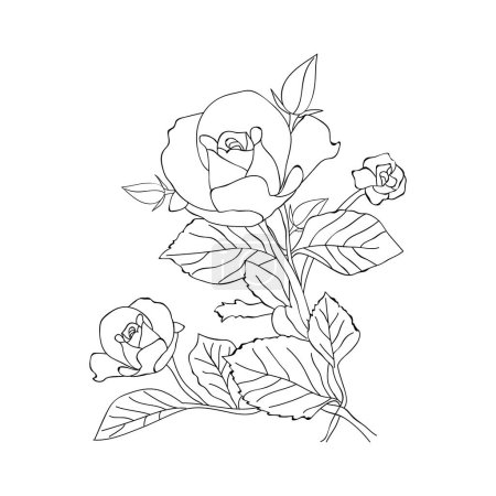 Foto de Realistic rose coloring pages for adults vector illustrations of beautiful flowers. - Imagen libre de derechos