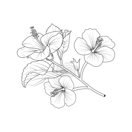 Illustration for Bouquet of hibiscus flower hand drawn pencil sketch coloring page and book for adults isolated on white background floral element tattooing, illustration ink art of Sharon flower. - Royalty Free Image
