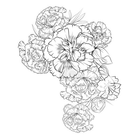 Illustration vectorielle de fleurs d'oeillets d'un beau bouquet de fleurs, un livre de coloriage dessiné à la main de fleurs artistiques, ?illets de fleurs gravés dessin de tatouage d'encre.