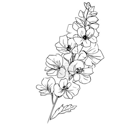 vector sketch of a beautiful flower, single line art, delphinium stock outline drawing, larkspur flower drawing poster and print, botanical delphinium flower vector drawing, clip art larkspur, birth month July tattoo ideas