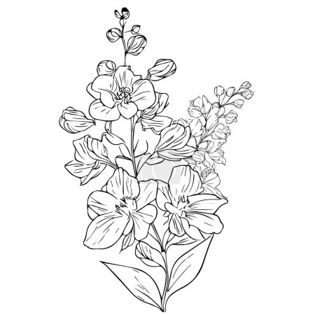 Illustration for Vector floral black and white. ink and white engraved ink flower, larkspur flower drawing poster and print, botanical delphinium flower vector drawing, clip art larkspur, birth month July tattoo ideas light blue delphinium flower bouquet arrangement - Royalty Free Image