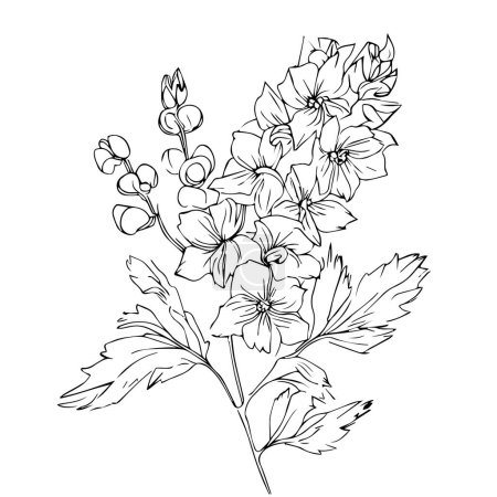 Foto de Hermosa flor dibujada a mano en blanco y negro con hojas. aislado sobre fondo blanco. - Imagen libre de derechos