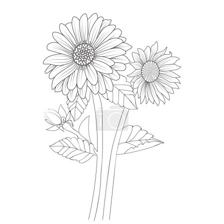 Foto de Flores hermosas y blancas en el jardín, dibujo de contorno de girasol de arte de línea, dibujo de línea de girasol, dibujo de línea de girasol minimalista, dibujo de girasol estético, girasol de una línea minimalista, ramo de girasol - Imagen libre de derechos