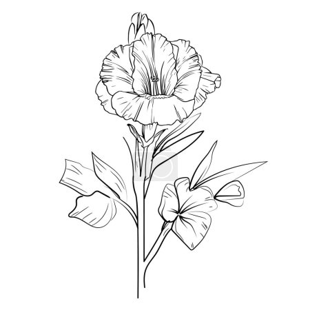 Illustration for Wrist gladiolus tattoo simple, women's gladiolus tattoo, gladiolus flower drawing the outline, gladiolus drawing the outline, gladiolus tattoo drawing coloring pages, gladiolus line art, realistic gladiolus drawing the simple gladiolus line drawing - Royalty Free Image