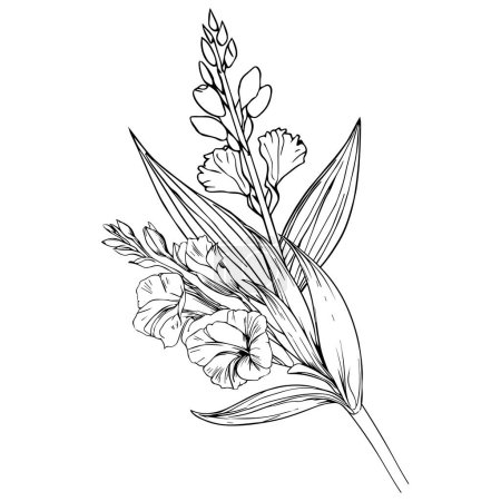 Illustration for Gladiolus august birth month flower, gladiolus august birth flower drawing, outline gladiolus drawing, tattoo gladiolus flower drawing, black gladiolus tattoo, black small gladiolus tattoo - Royalty Free Image