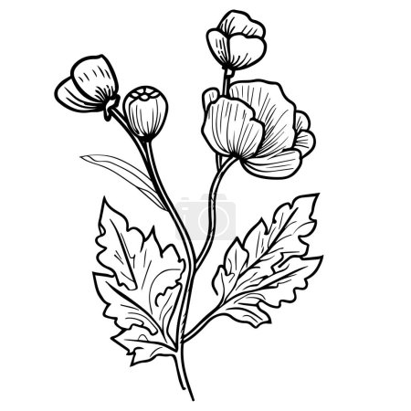 Illustration for Poppy flower wall decor, Cottage Garden Flowers Wall Decor, simple poppy tattoo illustration, yellow poppy wall art, August birth flowers, August birth flowers tattoo, leaf. botanical garden plant. ink illustration. isolated on white background - Royalty Free Image