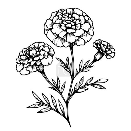 Illustration for Vector floral illustration design for invitations, card, banners or poster, vintage marigold drawings, outline marigold drawings, simple marigold line drawings, marigold flower tattoo drawings, traditional marigold tattoos, black marigold tattoos - Royalty Free Image
