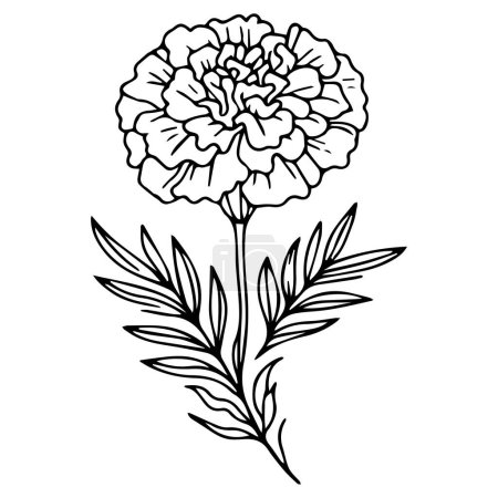 Foto de Flor con la hoja y el icono decorativo de la hoja, pequeño tatuaje de la flor del nacimiento de octubre, tatuaje de la flor de octubre blanco y negro, dibujo realista de la flor de caléndula, dibujo de la flor de la caléndula del lápiz, dibujo simple de la línea de caléndula, dibujo del tatuaje de la flor de caléndula - Imagen libre de derechos