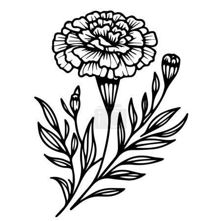 Foto de Hermoso diseño de la ilustración del icono decorativo de la flor, tatuaje de la flor de octubre blanco y negro, dibujo de la flor de caléndula realista, dibujo de la flor de caléndula de lápiz, dibujo de la flor de caléndula de boceto, dibujo de caléndula vintage, dibujo de caléndula de contorno - Imagen libre de derechos