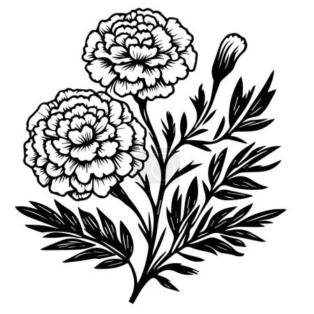 Illustration for Free marigold printable coloring pages, marigold drawing color, marigold small tattoo, marigold line art, marigold vector art, marigold isolated images clip art, Black tattoo with marigold, marigold single line drawings - Royalty Free Image