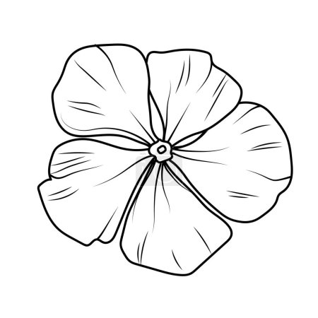 Illustration for Outline periwinkle drawing, periwinkle flower line drawing, clip art periwinkle flower outline, noyontara coloring pages for kids, step-by-step periwinkle flower drawing, Madagascar periwinkle drawing, Catharanthus roseus Sada bahar drawing - Royalty Free Image