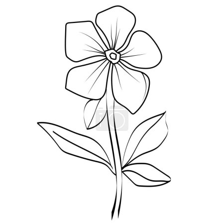 Illustration for Periwinkle flower vector art, drawing outline periwinkle flower tattoo, small periwinkle flower tattoo, ink illustration clipart isolated on a white background vector drawing of a flower outline periwinkle drawing, periwinkle flower line drawing - Royalty Free Image