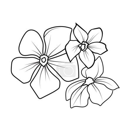 Illustration for Minimalist single periwinkle flower drawings, periwinkle flower vector art, drawing outline periwinkle flower tattoo, small periwinkle flower tattoo, ink illustration clipart isolated on white background beautiful flowers with petals - Royalty Free Image