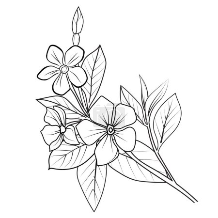 Illustration for Hand-painted Madagascar periwinkle wall art, botanical vinca wall art, simple periwinkle drawing, noyontara stock outline drawing, periwinkle flower line art vector flower of coloring page for adult, flower sketch of stock outline drawings - Royalty Free Image
