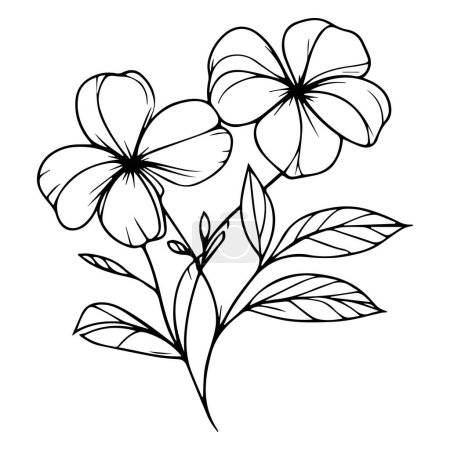 Illustration for Vector sketch of flowers. periwinkle line drawings, hand-painted Madagascar periwinkle wall art, botanical vinca wall art, simple periwinkle drawing, noyontara stock outline drawing vector flowers and leaves - Royalty Free Image