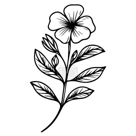 Illustration for Vector drawing flower with black and white ink hand-drawn illustration, sketch art beautiful Catharanthus roseus flower tattoo, coloring page for adults, botanical Madagascar periwinkle drawing, purple periwinkle drawing, - Royalty Free Image
