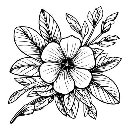 Illustration for Vector drawing flower with black and white ink hand-drawn illustration,  Periwinkle wildflower drawings, Hand drawn botanical spring elements bouquet of Periwinkle line art coloring page, easy flower drawing. vinca flower art - Royalty Free Image