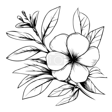 Illustration for Vector drawing flower with black and white ink hand-drawn illustration, pencil sketch Sada bahar flower drawing, outline periwinkle drawing, periwinkle flower line drawing, clip art periwinkle flower outline, noyontara coloring pages for kids - Royalty Free Image