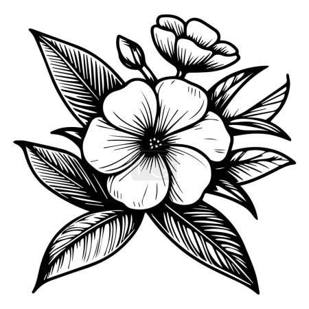 Illustration for Vector drawing flower with black and white ink hand-drawn illustration, Catharanthus roseus Sada bahar drawing, Small periwinkle flower tattoo for kids, hand-drawn periwinkle flower, periwinkle line art, vinca flower home wall decor art poster - Royalty Free Image