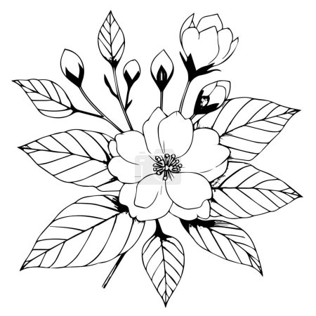 Téléchargez les illustrations : Tatouage minimaliste de fleur de jasmin, dessin de fleur de jasmin blanc, dessin réaliste de fleur de jasmin, dessin de fleur de jasmin d'art, dessin simple de fleur de jasmin d'art linéaire une fleur noire et blanche. Coloriages vectoriels en jasmin dessinés à la main pour enfants - en licence libre de droit