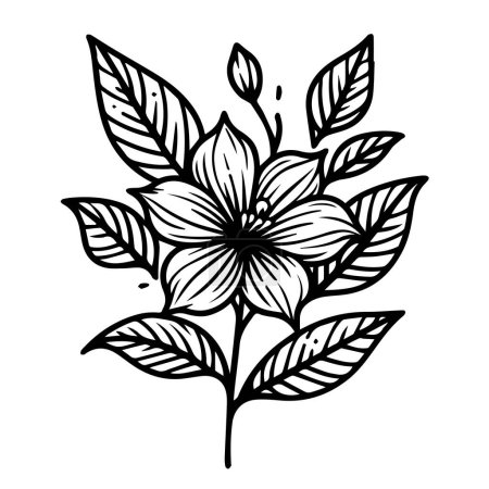 Téléchargez les illustrations : Tatouage de fleur de jasmin arabe, tatouage de fleur de jasmin minimaliste, dessin de fleur de jasmin noir et blanc, dessin de fleur de jasmin botanique, illustration botanique de jasmin scientifique fleur noire sur fond blanc - en licence libre de droit