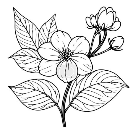 Téléchargez les illustrations : Facile fleur de jasmin, croquis dessin fleur de jasmin, tatouage dessin fleur de jasmin, contour tatouage fleur de jasmin, simple tatouage fleur de jasmin, minimaliste tatouage fleur de jasmin noir et blanc fleur avec feuilles coloriages pour enfants - en licence libre de droit