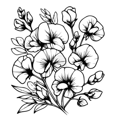 Cute flower coloring pages, Sweet pea drawing, Sweet pea drawings, Hand-drawn botanical summer elements bouquet of Sweet pea line art coloring page, easy flower drawing. Sweet pea  flower art, outline sweetpea flower drawing vector floral design