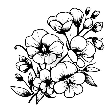 Sweet pea flowers illustration coloring page, simplicity, Embellishment, monochrome, vector art, Outline print with blossoms sweet pea flower, sweet pea bouquet leaves, and buds, sweet pea tattoo drawing beautiful floral decorative frame