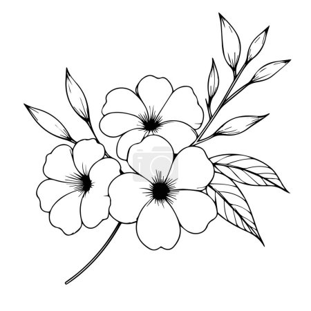 hand-painted Allamanda cathartica flower illustrations isolated on white backgrounds, engraved ink art floral coloring pages, and books for print hand-drawn flowers and leaves isolated on white backgrounds vector illustration.