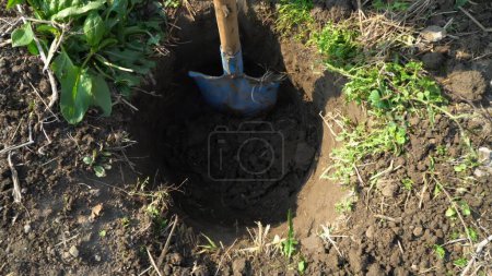 gardening, planting and agriculture concept. close up of shovel digging hole