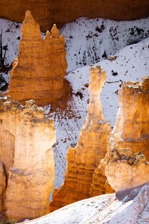 Téléchargez les photos : Gros plan téléobjectif zoom photo de bryce canyon parc national hoodoos éclairés par le soleil illuminant rouges, oranges, roses et blancs. - en image libre de droit