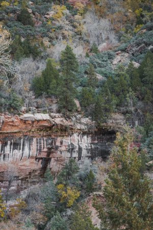Téléchargez les photos : Différentes couleurs, textures, paysages et formations rocheuses parmi les paysages du parc national de Sion dans le sud-ouest américain dans l'état de l'Utah. - en image libre de droit