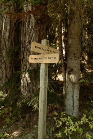Téléchargez les photos : Photo verticale du panneau indicateur du sentier Maple Pass numéro 740 et de la jonction du sentier Rainy Lake numéro 310 dans le parc national et la forêt des Cascades-Nord. - en image libre de droit