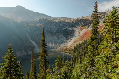 Téléchargez les photos : Horizontal large Photo de conifères massifs luxuriants de haute altitude hors des sentiers avec lac alpin en dessous dans le parc national des Cascades du Nord dans le nord de l'État de Washington États-Unis d'Amérique. - en image libre de droit