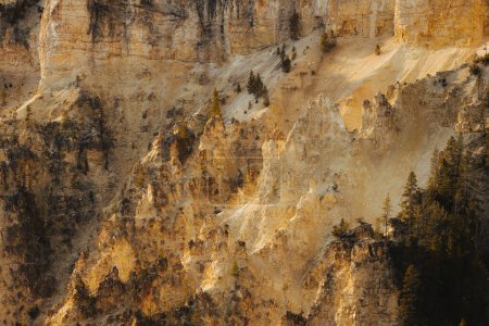 Téléchargez les photos : Grand canyon of the yellowstone yellow textured cliff walls with jagged rocks and other natural feature making for a great texture background backdrop - en image libre de droit