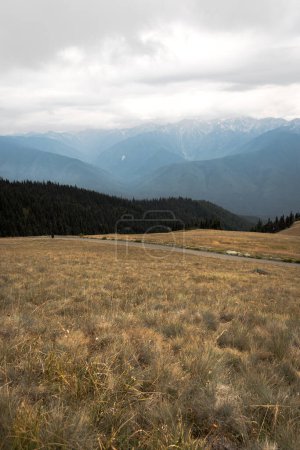 Téléchargez les photos : Couches de montagne de la crête bleue avec des nuages à distance et des arbres sur les collines et les prairies au premier plan dans le parc national olympique Hurricane Ridge dans l'État de Washington. - en image libre de droit