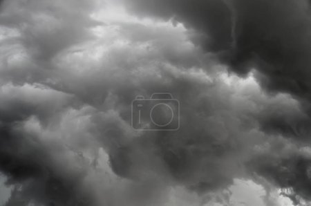 Photo for Dark ominous clouds loom over the landscape, threatening an impending storm. Rolling dark grey thunderheads fill the sky, their bulging forms backlit dramatically by the last rays of the setting sun. - Royalty Free Image