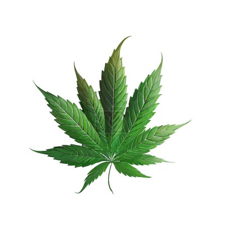 Cartoonpflanze, Cannabis. Vektor-Illustration, Druck für Hintergrund, Druck auf Stoff, Papier, Tapete, Verpackung.
