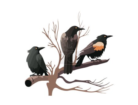 Cartoon crows on a branch. Birdies vector illustration isolated on white background