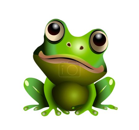 Green cartoon frog on a white background. Vector illustration
