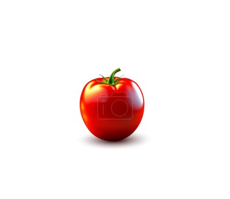 Vector illustration of a beautiful tomato on a white background with a drop shadow.