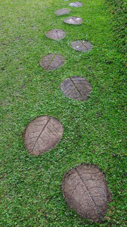 Téléchargez les photos : Forme de feuille marche chemin de pierre posé sur l'herbe au jardin ou au parc. - en image libre de droit