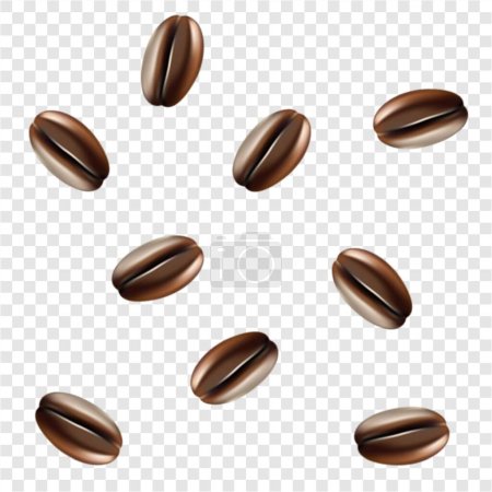 Illustration for Coffee beans isolated on transparant background vector - Royalty Free Image