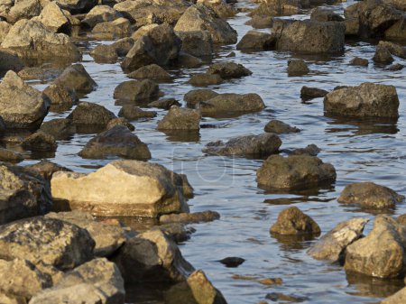 Téléchargez les photos : Piedras en la playa - en image libre de droit