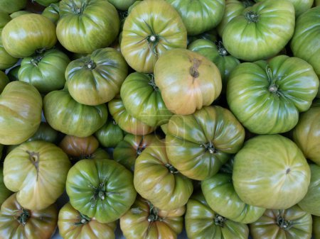 Téléchargez les photos : Green tomatoes in bulk for sale in the market - en image libre de droit