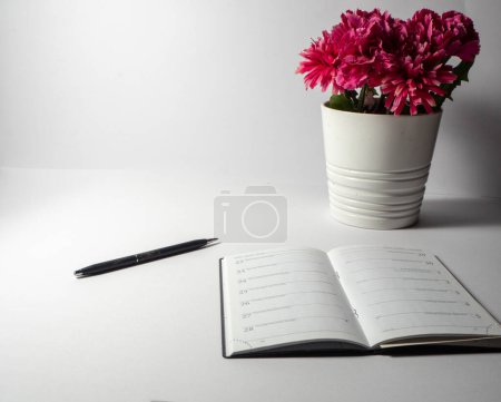 Téléchargez les photos : Bureau avec ordre du jour, stylo et plante rouge avec fond blanc - en image libre de droit