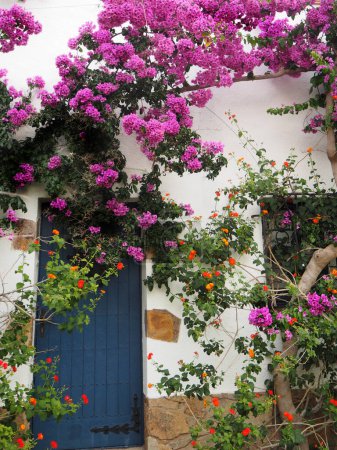 Téléchargez les photos : Belle entrée d'une maison avec une porte bleue et des fleurs autour - en image libre de droit